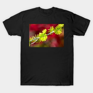 Lime green Larch leaves T-Shirt